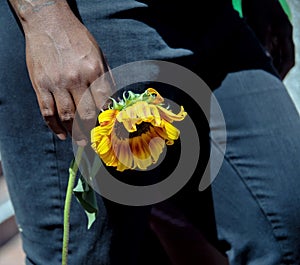 Woman holding a wilted yellow flower