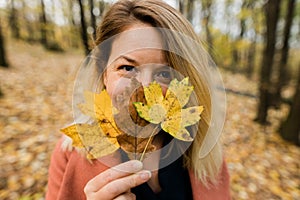 Woman holding yellow autumn leaves in the forest