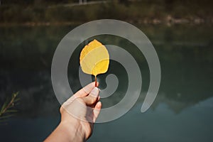 Woman holding a yellow leaf in the hand on a background of blue lake and the Alps in reflaction.