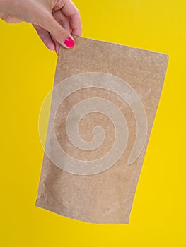 Woman holds Craft paper bag for coffee with copy space for branding logo. Mockup