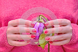 A woman holds a dry flower in her hands as a symbol of a past love. The concept of ending a love relationship