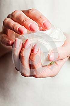 Woman holds in hands fragily pink rose