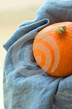 Woman Holds in Hands Small Round Ripe Vivid Orange Heirloom Pumpkin on Linen Towel. Garden Countryside. Cozy Rural Fall Autumn