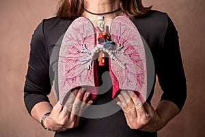 Woman holds Medical Model of Human Lungs