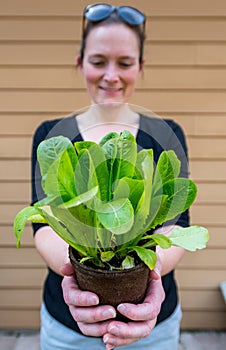 Woman Holds Out Romaine Lettuce Plant