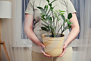 A woman holds a pot with a plant zamioculcas zamiifolia in her hands while standing in a home living room