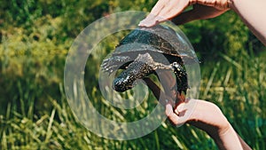Woman Holds River Turtle in Her Hands on Background of Green River Close-Up