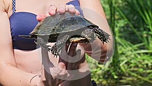Woman Holds River Turtle in Her Hands on Background of Green River Close-Up