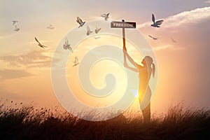 Woman holds a sign with word freedom and flying birds on sunset