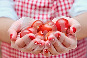 A woman holds small red tomatoes in her hands. Cook girl`s hands with ripe cherry tomatoes