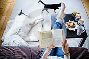 woman at home with dog hygge at Christmas time