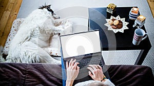 woman at home with dog hygge at Christmas time