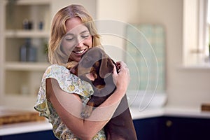 Woman At Home Holding And Stroking Pet Dachshund Dog In Kitchen
