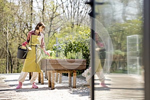 Woman at home vegetable garden in the backyard of her house