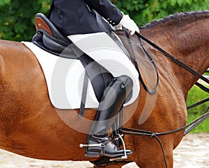 Woman on horse in jodhpurs
