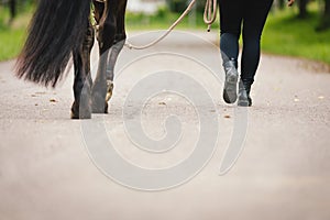 Eine Frau a ein Pferd auf der Gurt auf der straßen 