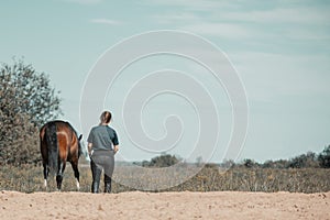 Woman and horse leaving training arena after training end and going in field, back view