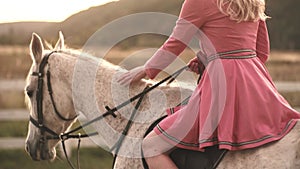 Woman horse ride. Contryside. Girl walking on ranch with horses.