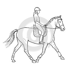 Woman horse rider performing equine training, horse riding, horse stallion with jockey drawing for sport vector illustration