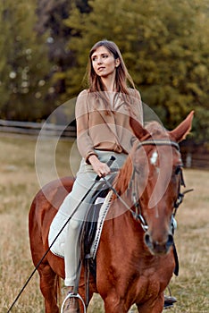 Woman and horse in rural landscape. Equestrianism promotes well-being and stress relief. The portrait captures equestrian training