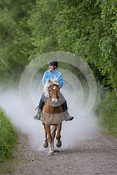 Woman horseback riding in forest parth