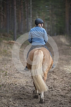 Woman horseback riding in forest parth photo