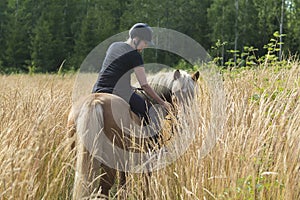 Woman horseback riding on meadow in summer