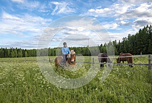 Woman horseback riding summer on meadow