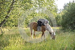 Woman horseback riding in sunset