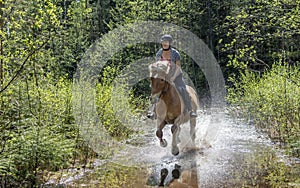 Woman horseback riding in water