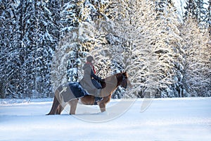 Woman horseback riding in winter in Finland