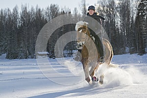 Woman horseback riding in winter snow