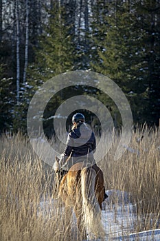 Woman horseback riding in winter in snow forest