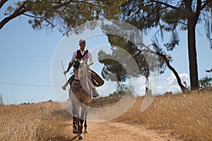 Woman horsewoman, young and beautiful, running at a trot with her horse, on a path with pine trees in the countryside. Concept