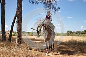 Woman horsewoman, young and beautiful, running at a trot with her horse, on a path with pine trees in the countryside. Concept