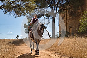 Woman horsewoman, young and beautiful, running at a trot with her horse, on a path with pine trees in the countryside. Concept