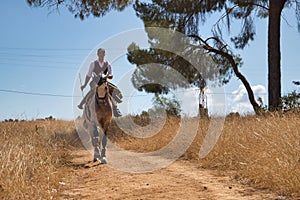 Woman horsewoman, young and beautiful, running at a trot with her horse, on a path with pine trees in the countryside. Concept