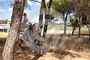Woman horsewoman, young and beautiful, running at a trot with her horse, among the pines in the countryside. Concept horse riding