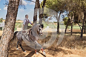 Woman horsewoman, young and beautiful, running at a trot with her horse, among the pines in the countryside. Concept horse riding