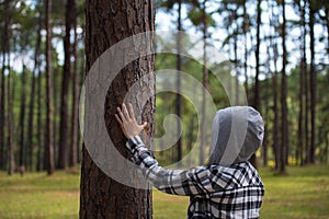 Woman hugging a big tree in the outdoor forest