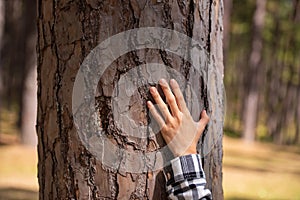 Woman hugging a big tree in the outdoor forest