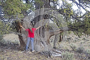 Woman Hugging a Giant Tree
