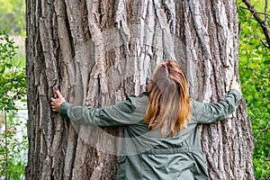 Tree hugger