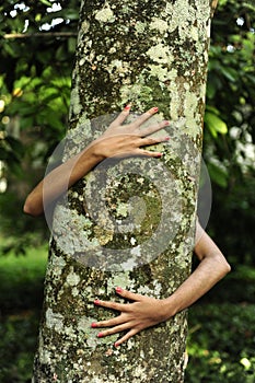 Woman hugging a tree in the forest