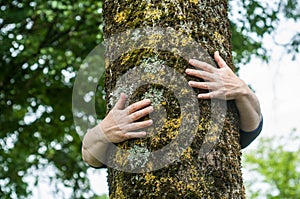 Woman hugging a tree in a forest