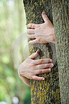 Woman hugging a tree in a forest