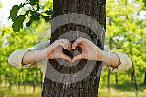 Woman hugging tree trunk and forming heart with hands in forest