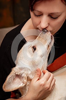 Woman huging and kissing her cute dog at home, animal and pet loving