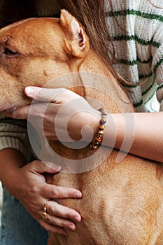 woman hugs her red pit bull dog