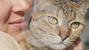 Woman hugs and kisses her domestic cat.